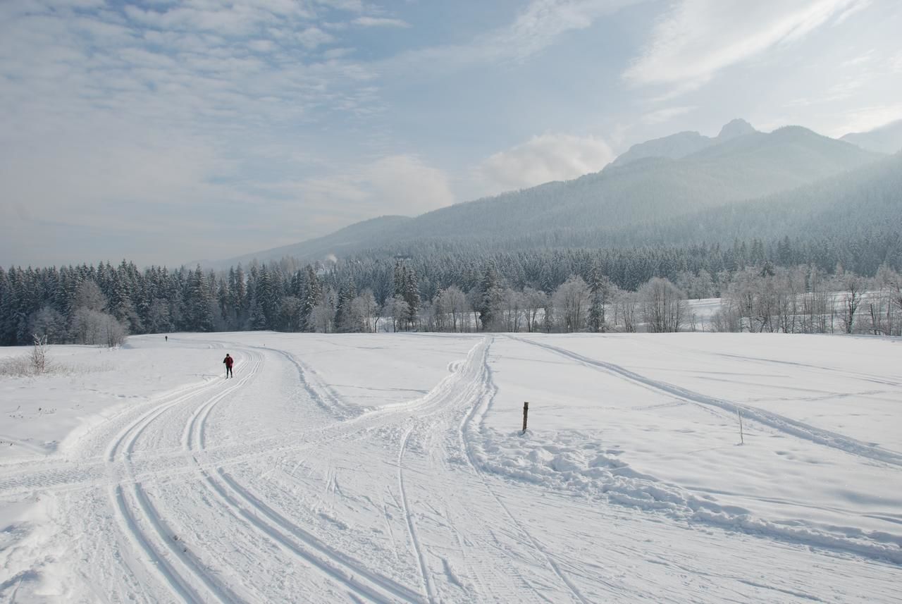 Отель Hotel Eco Tatry Resort & Holiday Косцелиско